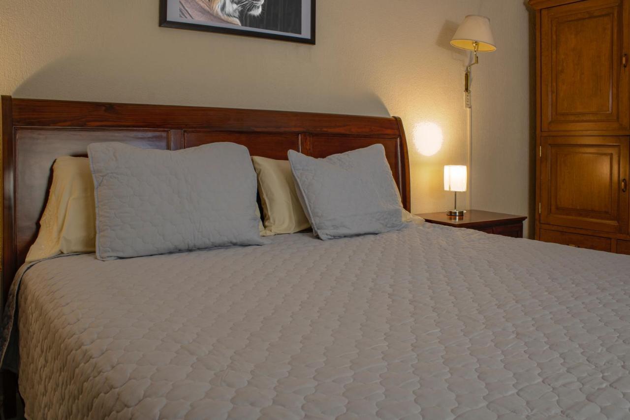 Hotel Gran Domo León Kültér fotó